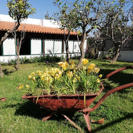 Casa Rural Limon Y Sol Ель-Саусаль Екстер'єр фото
