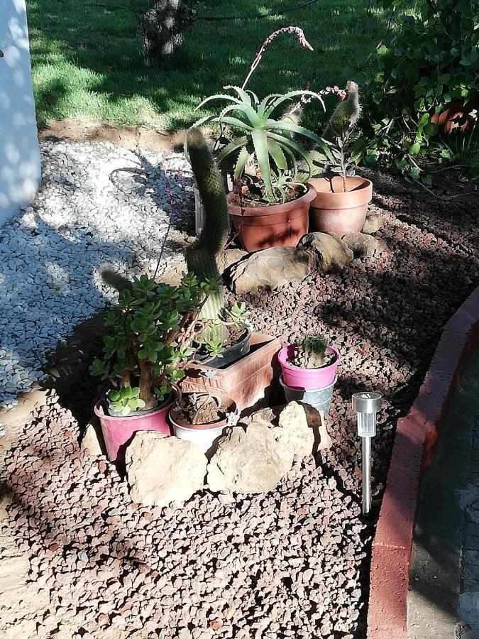 Casa Rural Limon Y Sol Ель-Саусаль Екстер'єр фото