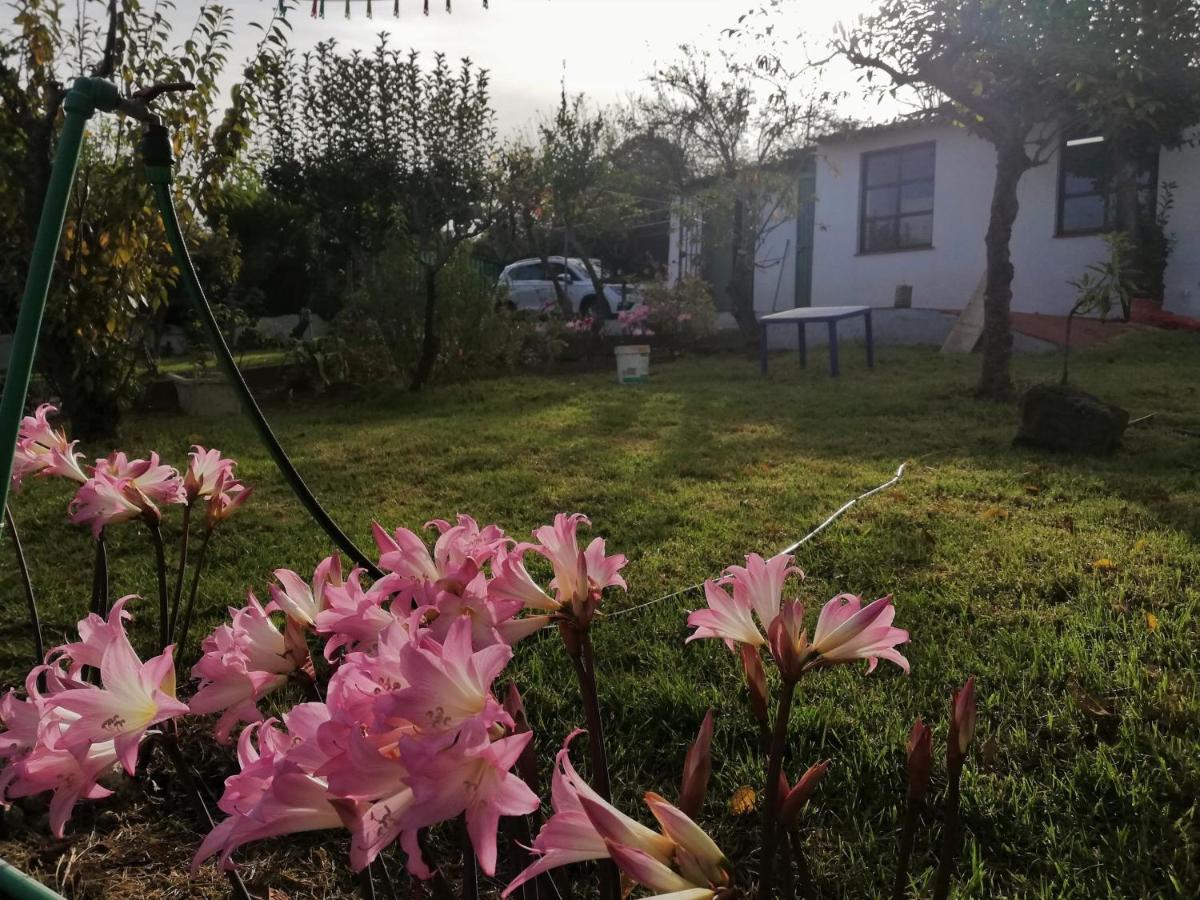 Casa Rural Limon Y Sol Ель-Саусаль Екстер'єр фото