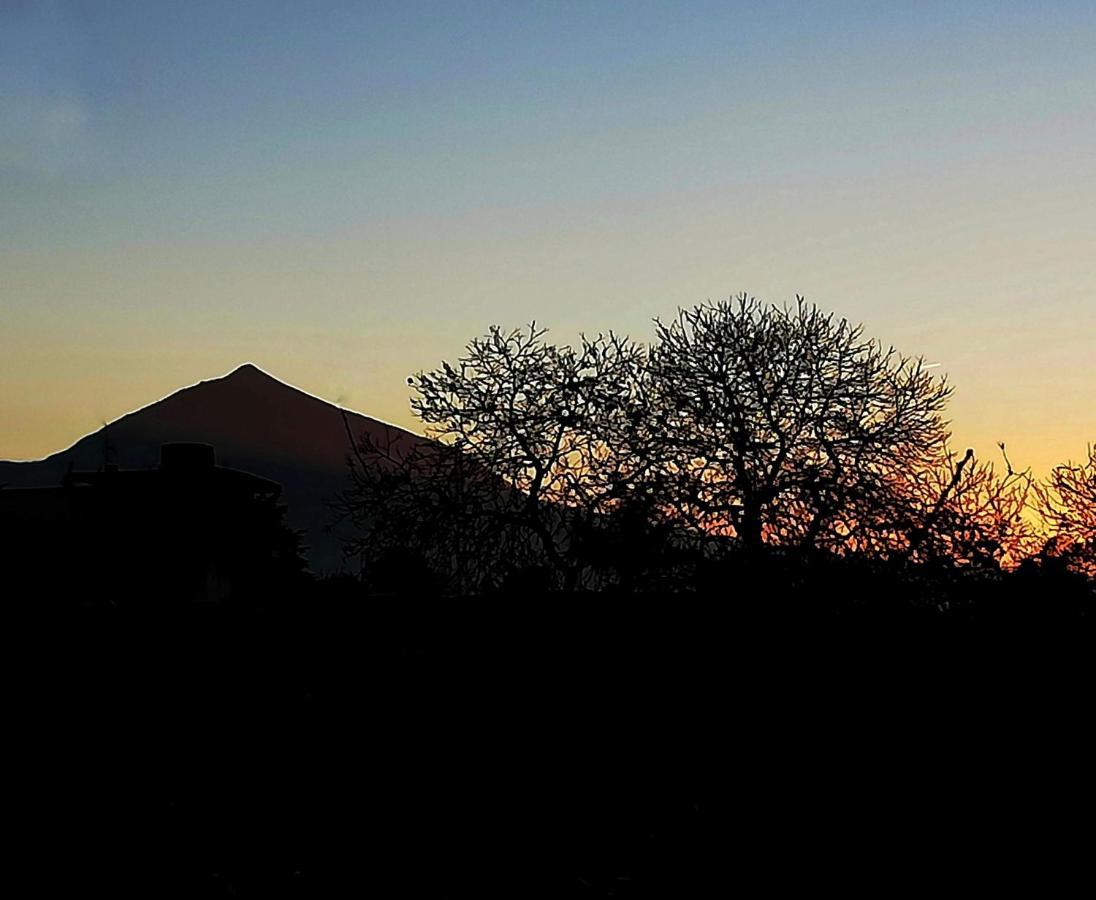 Casa Rural Limon Y Sol Ель-Саусаль Екстер'єр фото