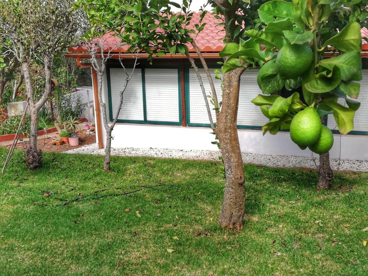 Casa Rural Limon Y Sol Ель-Саусаль Екстер'єр фото